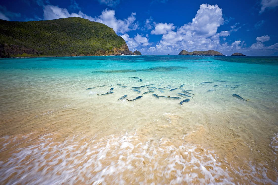 Lord-howe-island-shutterstock.jpg