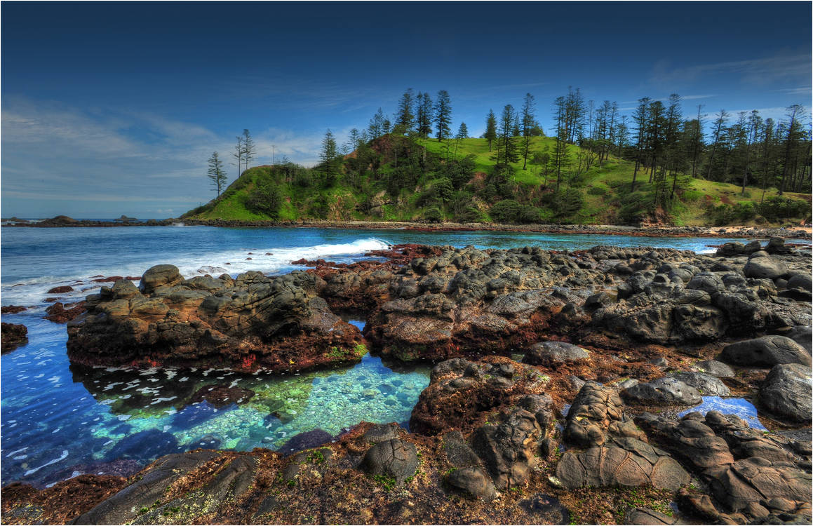 Norfolk-Island-pines-Getty-RF-Southern-Lightscapes-Australia.jpg